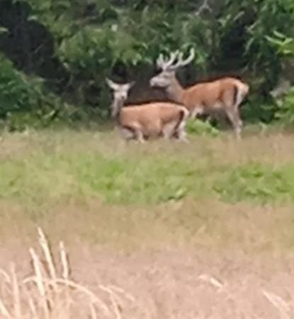 ホテル Au Domaine De Py ル・ヴァルタン エクステリア 写真