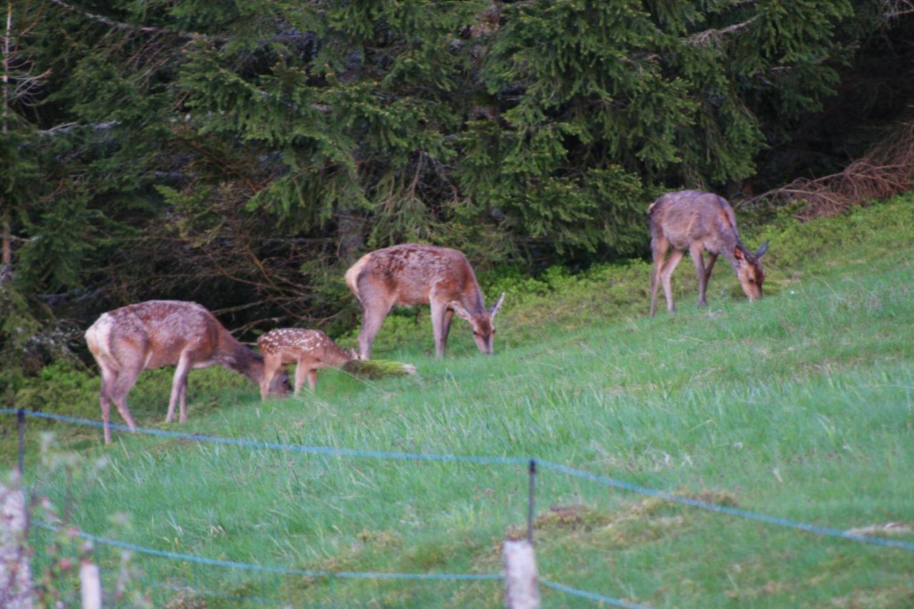 ホテル Au Domaine De Py ル・ヴァルタン エクステリア 写真