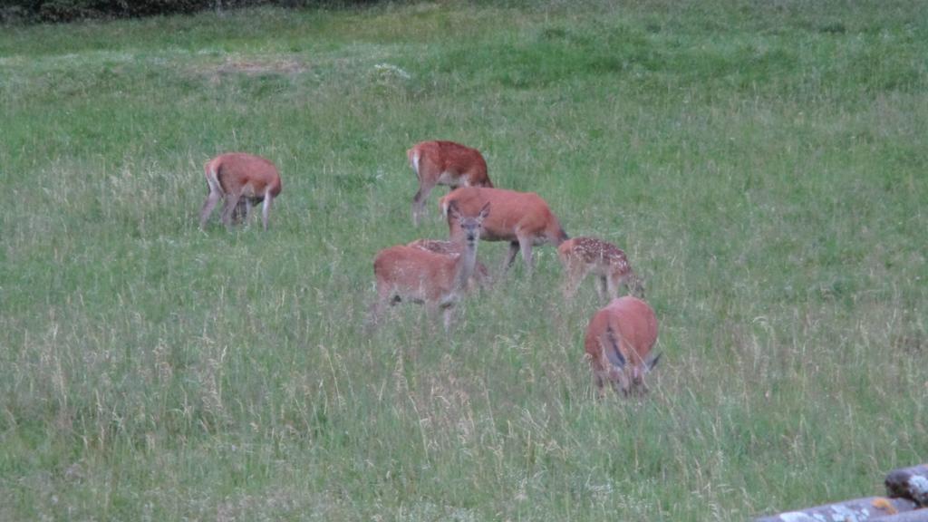 ホテル Au Domaine De Py ル・ヴァルタン エクステリア 写真